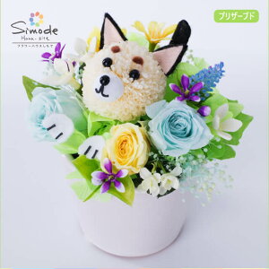 }VoiājvU[uht[AWg ̓ ybg ~ ~  ފ    Mtg a LO j j oYj LO ސE  w \