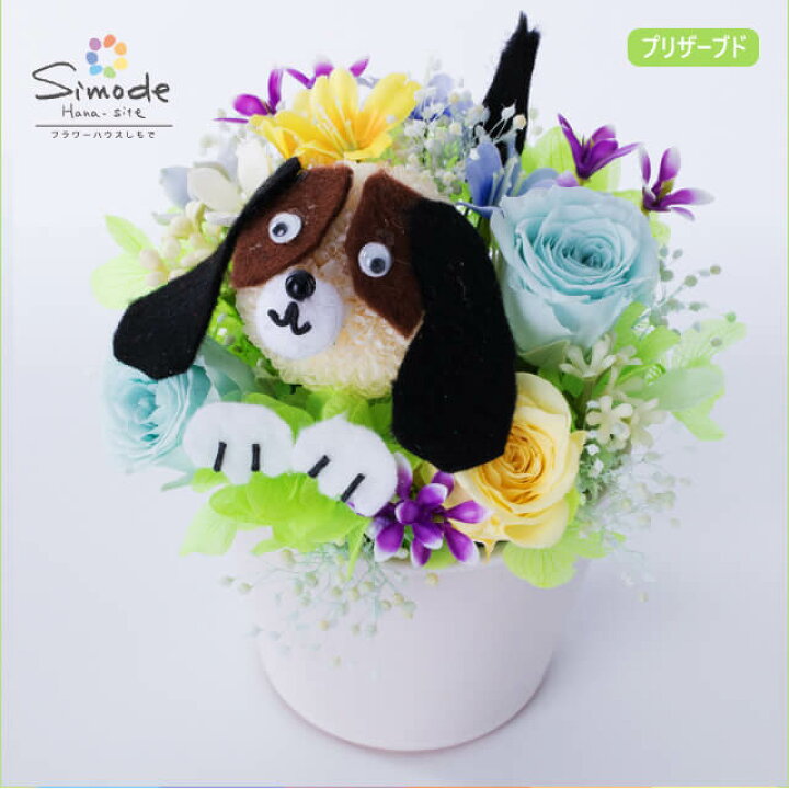 楽天市場 ビーグル犬のプリザーブドフラワーアレンジメント 癒し 誕生日 記念日 お祝 プレゼント 結婚祝い 出産祝い 結婚記念日 退職 ギフト カーネーション お供え お盆 仏花 お悔み 供花 命日 枯れない仏花 犬 イヌ フラワーハウスしもで