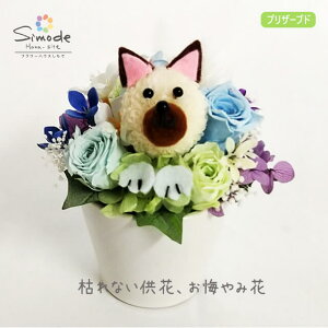 犬 お悔やみ 花 生花の人気商品 通販 価格比較 価格 Com 犬 お悔やみ 花 生花の人気商品 通販 価格比較 価格 Com
