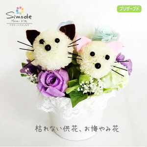yԁ@݉ԁzlRiLj2C̃vU[uht[AWg ybg ~ ~  ފ    Mtg ybg{ @  蕨  Iׂ 