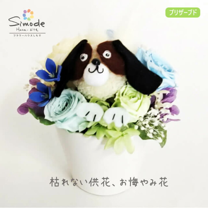 楽天市場 ペット お供え花 お悔やみ花ビーグル犬のプリザーブドフラワーアレンジメント 癒し ギフト カーネーション お盆 仏花 供花 命日 枯れない仏花 イヌ 犬 フラワーハウスしもで