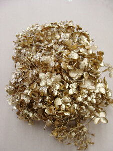 y܂Ń[X1܂zˎYVRfރhCt[@iS[hj12OizԁEAWTCj