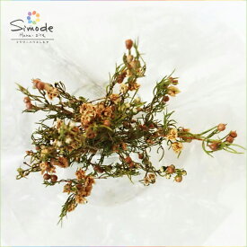 楽天市場 ワックスフラワー ドライフラワー 花 観葉植物 花 ガーデン Diyの通販