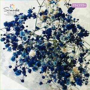 hCt[@FJX~\Eij4`5{n[oEXbOȂǐlC̃nhChȋfނƂĂЁiJX~Eݑj