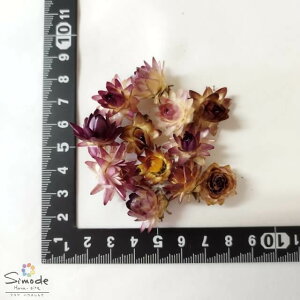 yVׁIX̔YnIIzhCt[ wNT~bNX@ 10iLkEւ肭肳ށjˎYn[oEAXbOA[XȂǂ