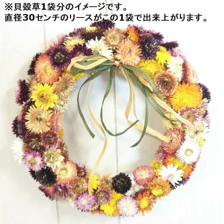 楽天市場】【新作】 ヘリクリサム お任せミックス100個入 直径30センチ  