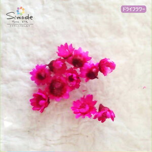 yhCt[zX^[t[_[NsN 10֓(Q)n[oE AWg i ANZT[ f ԍ W t[ Lh A} bNX TVF 