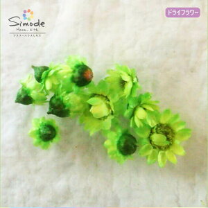 yhCt[zX^[t[CgO[ 10֓(Q)n[oE AWg i ANZT[ f ԍ W t[ Lh A} bNX TVF 