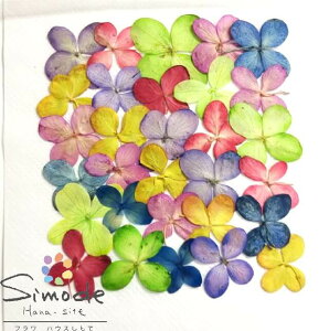 yS-928zԁ@fޒFzAWTCO[x[XiEzԁj 30ԍ ԑf Ԋz  nhCh VbN n[oE W t[ Lh A} b