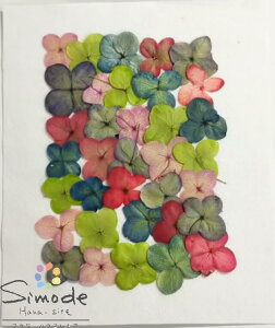 yS-927zԁ@fޒFAWTCO[x[XiEzԁj 35ԍ ԑf Ԋz  nhCh VbN n[oE W t[ Lh A} bN