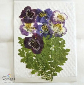 【S-1061】押し花 シザンサス 花7枚 葉2枚押し花額 レジン アクセサリー ウェディング ウェルカムボード 押し花キッドハンドメイド素材 スマホケース iPhoneケース ピアス イヤリング 押し