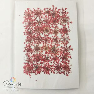 yS-1024zԁ@F[Xt[ԁ@35˂̂ԉ񂪎肵܂BSS̍YiłB