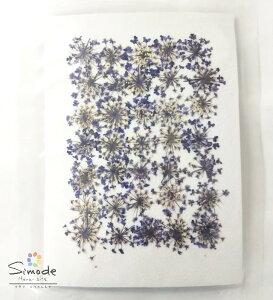 yS-1026zԁ@F[Xt[@35˂̂ԉ񂪎肵܂BSS̍YiłB