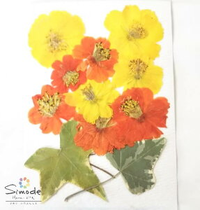 yS-1042zԁ@LoiRXXƃACr[102Ԋz⃌WANZT[ȂǃnhChfނƂĐlCł˂Ŏ肵Ă܂BYïSiłI