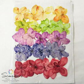 楽天市場 紫陽花 八重の通販