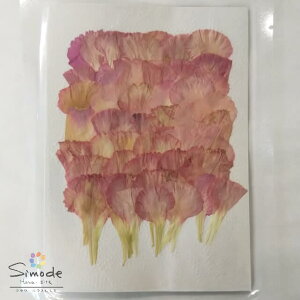 カーネーション 茶色 ホビーの人気商品 通販 価格比較 価格 Com