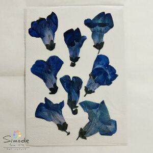 yS-1066zԁ@F()@8 n[oEAWALhAtHgt[Ȃǂ̃nhChEDIYfނɁB˂̂ԉ񂪎肵܂BSS̍YfނłB