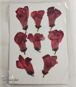 yS-1075zԁ@F()@8 n[oEAWALhAtHgt[Ȃǂ̃nhChEDIYfނɁB˂̂ԉ񂪎肵܂BSS̍YfނłB