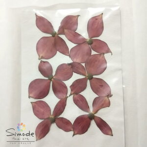 yS-1087zԐ؁@ni~YL@@6Ԋz⃌WANZT[ȂǃnhChfނƂĐlCłԑfށEԃpbN˂Ŏ肵Ă܂BYïSiłI