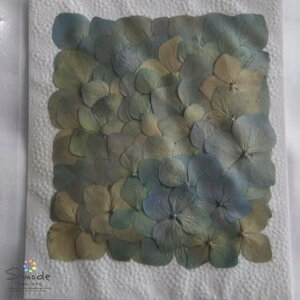 yAEgbgE݁A򉻂zyF-45zԁ@AWTCiEzԁj܂~bNX@50Ԋz⃌WANZT[ȂǃnhChfނƂĐlCł˂