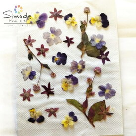 【S-1122】押し花 小花ミックスビオラ・ヒメツルソバ・ペンタス・バーベナ花材 押し花額 ミックス レジン フラワー キャンドル アロマ ワックス サシェ 材料 ウェルカムボード ブライダル　ウェディング