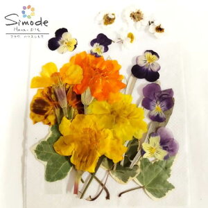 �yS-1124�z������ �Z�b�g�ԉԂ��񂴂��E�A�C�r�[�E�}���[�S�[���h�E�r�I���i�`�������f�� �ԍ� �����ԑf�� �����Ԋz ���W�� �t�����[ �L�����h�� �A���}���b�N�X�ޗ� �E�F���J���{�[�h �u��