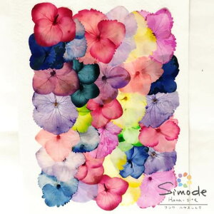 yS-1162zԁ@fޒFAWTCiEzԁj@ 30ԍ ԑf Ԋz  nhCh VbN n[oE W t[ Lh A} bNX TVF 