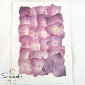 楽天市場 花材 アジサイ 押し花用アクセサリー 花 観葉植物用品 花 観葉植物 花 ガーデン Diyの通販
