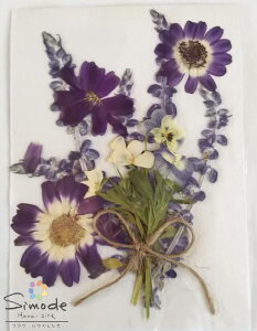 yS-1003zԑ@AWXgZ[W2{ATClA2ApW[s2{Ԋz⃌WANZT[ȂǃnhChfނƂĐlCłԑfށEԃpbN˂Ŏ肵