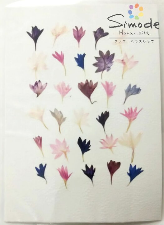 楽天市場 押し花 S 936 矢車草 30枚 押し花 素材 ハンドメイド レジン アクセサリー スマホケース キャンドル アロマワックス サシェ ハーバリウム フォトフレーム 押し花額 ウエルカムボード など Diy 素材として フラワーハウスしもで