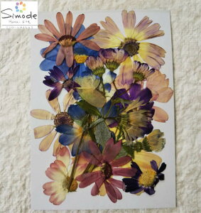 yAiEAEgbgzԁ@TClA@10iF|30jԊz⃌WANZT[ȂǃnhChfނƂĐlCł˂Ŏ肵Ă܂BYïSił