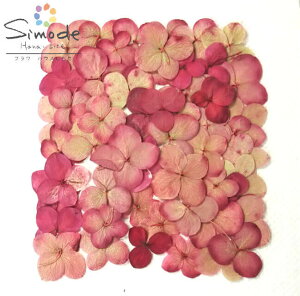 yS-870zԁ@FAWTCO[x[X50艟  z W ANZT[ X}zP[X Lh A}bNX n[oE tHgt[ Ԋz EG