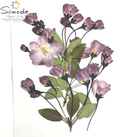 楽天市場 押し花の通販