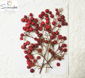 yS-760z V̎ s 3{ԍ  ԑf Ԋz  n[oE W t[ Lh A} bNX TVF