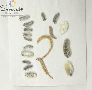 yS-819z lRiM̉15ԍ ԑf Ԋz L W t[ Lh A} bNX TVF ޗ EFJ{[h uC_@EFfBO lC@Ȃ