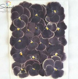 楽天市場 押し花パックの通販