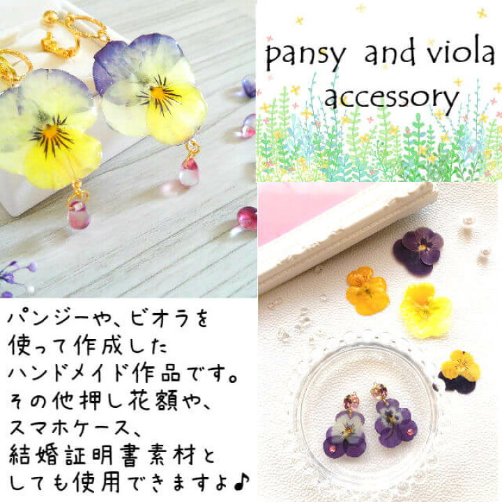楽天市場 押し花 パンジーミックス 25枚 押し花 素材 パンジー ハンドメイド レジン アクセサリー スマホケース キャンドル アロマワックスサシェ ハーバリウム フォトフレーム 押し花額 ウエルカムボード など Diy 素材として フラワーハウスしもで