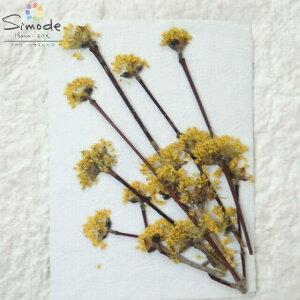 yS-734z RB 7{iTVEj}f ԍ ԑf Ԋz W t[ Lh A} bNX TVF ޗ i EFJ{[h uC_ EFfBO R