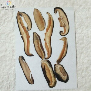 yS-733z  10ő ؑf ԍ ԑf Ԋz xW^u W t[ Lh A} bNX TVF ޗ EFJ{[h uC_ EFfBO R