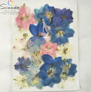 【S-833】押し花 千鳥草 ミックス20枚(ちどりそう・チドリソウ・ラクスパー)押し花額 レジン アクセサリー ウェディング ウェルカムボード 押し花キッドハンドメイド素材 スマホケース i