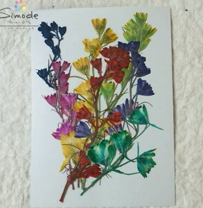 yS-752z F璹 } 7{Ff ԍ ԑf Ԋz W t[ Lh A} bNX TVF ޗ EFJ{[h uC_ EFfBO Jt