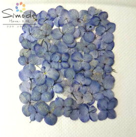 楽天市場 押し花 紫の通販