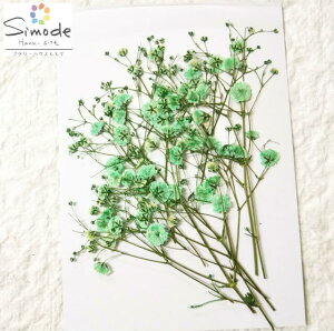 yS-785zԁ@FJX~\Eiݑj~g 10{ԍ  f Ԋz  EFJ{[h nhCh n[oE W lC t[ Lh A} bN