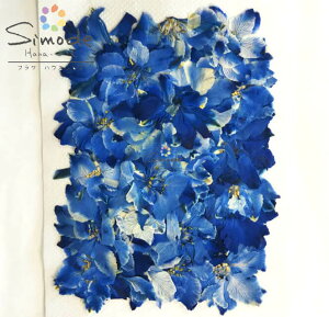 yS-856z F璹  20Ff ԍ ԑf Ԋz W t[ Lh A} bNX TVF ޗ EFJ{[h uC_ EFfBO Jt