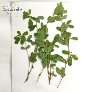 yS-308znY\E5{i}tEۗtjyˁzyR쑐̉ԁzyԃpbNzyԑfށzyzyLbgzyWzyANZT[zyԊzz