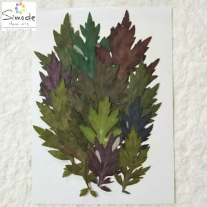 yS-780zԁ@FfޒFM 10 ԍ ԑf Ԋz  EFJ{[h nhCh n[oE W t[ Lh A} bNX TVF ޗ