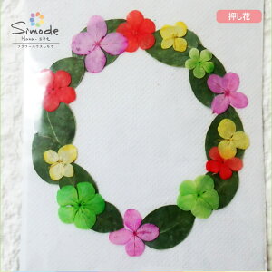 yS-724zԍށEԂ̃t[[XiAJVA̗tjFAWTCAtAJVA[XiɁXɎgĂOKInhChfނƂĐlCłB˂Ŏ肵Ă܂