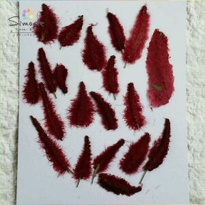 yS-333zLbge[i召~bNXj20{Ԋz⃌WANZT[ȂǃnhChfނƂĐlCł˂Ŏ肵Ă܂BYïSiłI