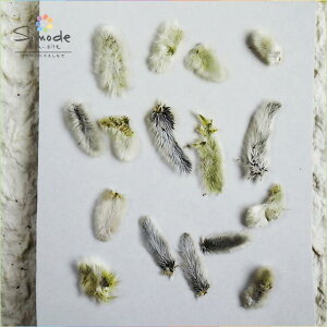 yS-363zlRiM@16Ԋz⃌WANZT[ȂǃnhChfނƂĐlCłԑfށEԃpbN˂Ŏ肵Ă܂BYïSiłI