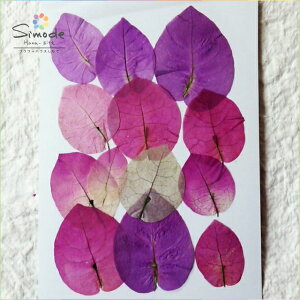 yS-492zԁ@u[QrA12Ԋz⃌WANZT[ȂǃnhChfނƂĐlCł˂Ŏ肵Ă܂BYïSiłI